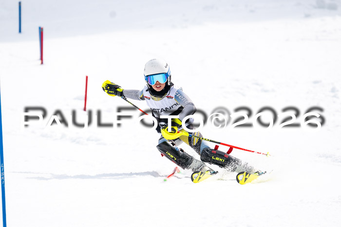 DSV - Actanol Deutscher Schülercup U12 Finale SLX 2026