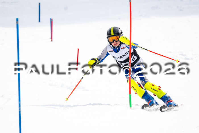 DSV - Actanol Deutscher Schülercup U12 Finale SLX 2026