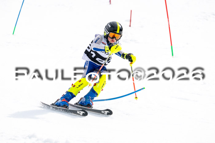 DSV - Actanol Deutscher Schülercup U12 Finale SLX 2026