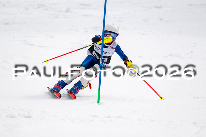 DSV - Actanol Deutscher Schülercup U12 Finale SLX 2026