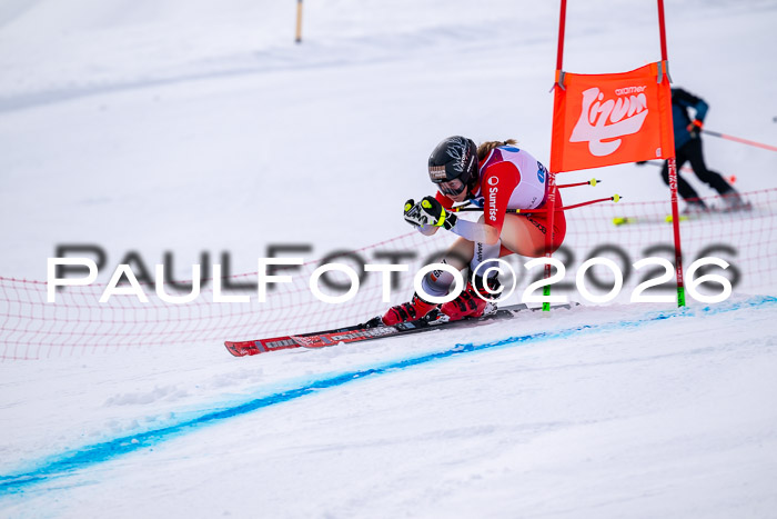 NC DH Training Damen + Herren Axamer Lizum 24.03.2026