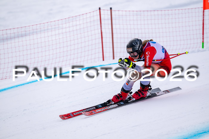 NC DH Training Damen + Herren Axamer Lizum 24.03.2026