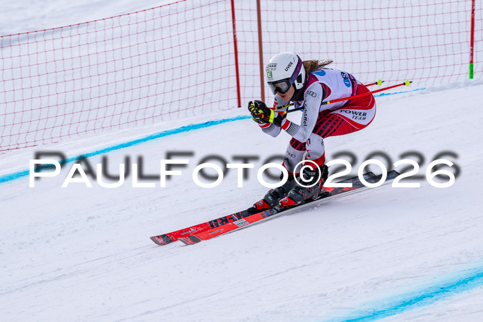 NC DH Training Damen + Herren Axamer Lizum 24.03.2026