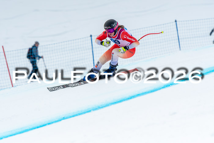 NC DH Training Damen + Herren Axamer Lizum 24.03.2026