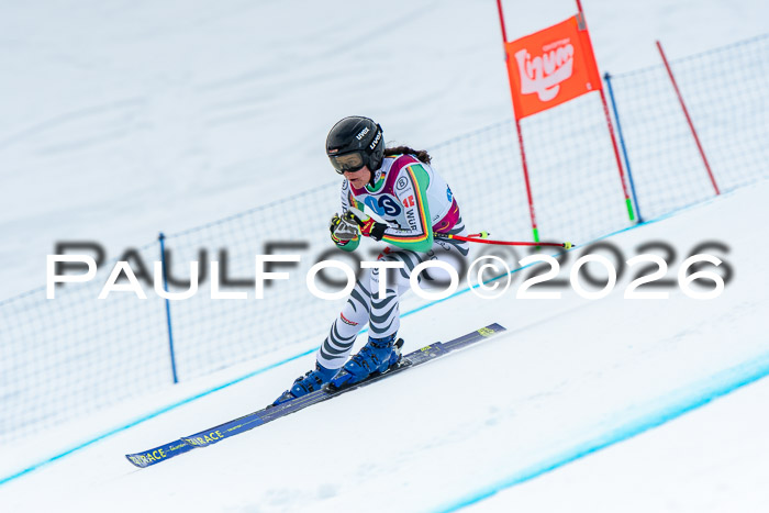 NC DH Training Damen + Herren Axamer Lizum 24.03.2026