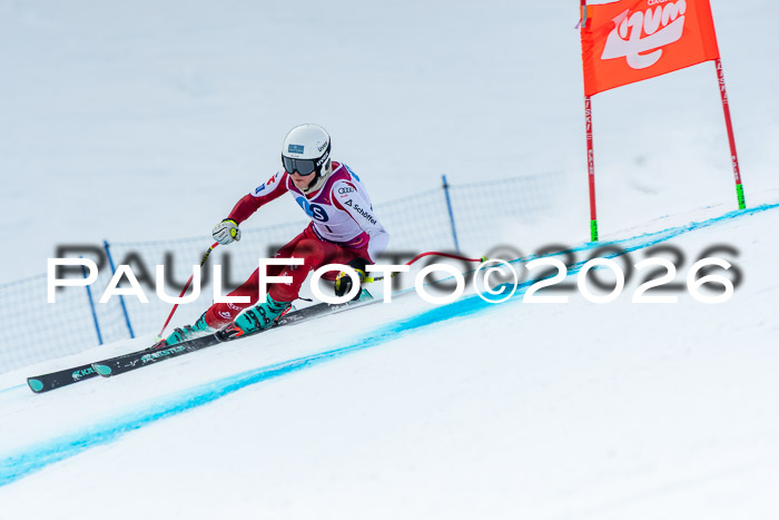 NC DH Training Damen + Herren Axamer Lizum 24.03.2026