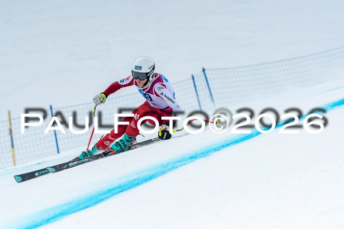 NC DH Training Damen + Herren Axamer Lizum 24.03.2026