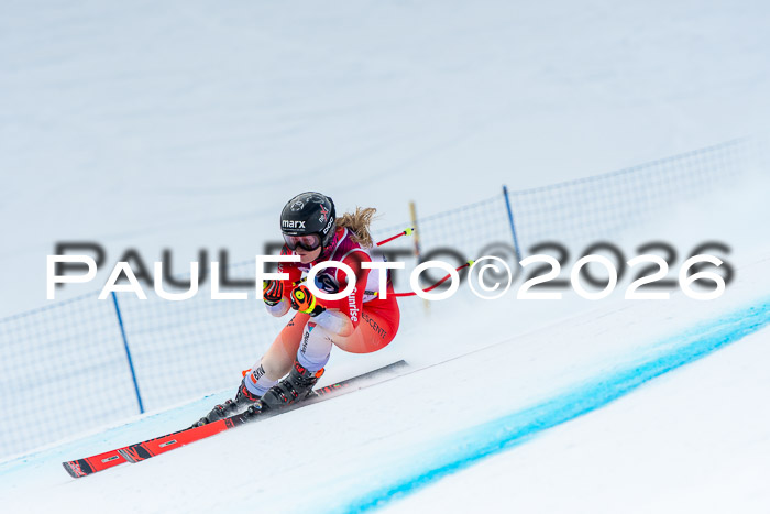 NC DH Training Damen + Herren Axamer Lizum 24.03.2026