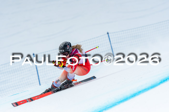 NC DH Training Damen + Herren Axamer Lizum 24.03.2026