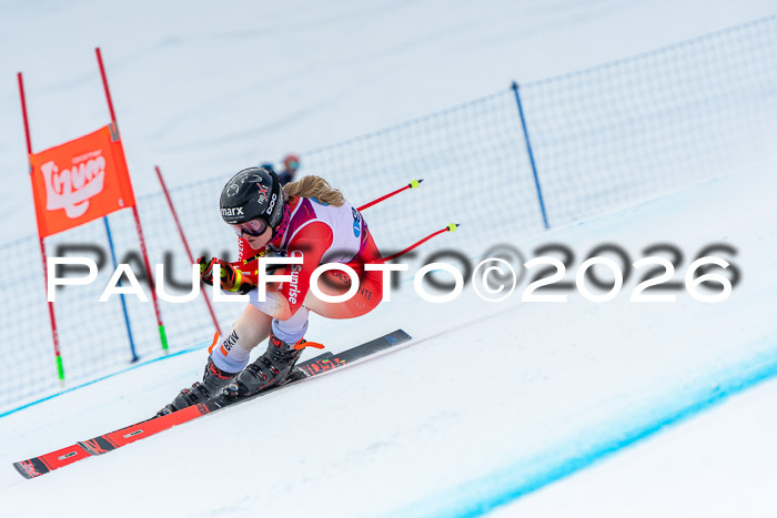 NC DH Training Damen + Herren Axamer Lizum 24.03.2026