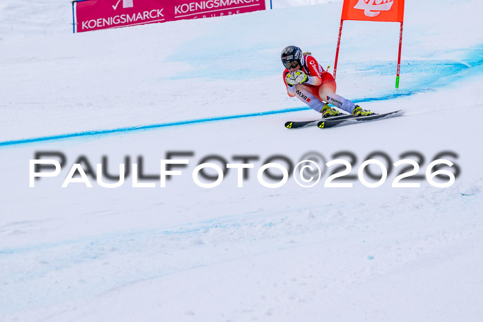 NC DH Training Damen + Herren Axamer Lizum 24.03.2026