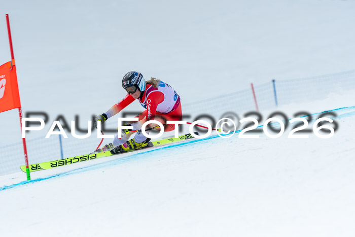 NC DH Training Damen + Herren Axamer Lizum 24.03.2026