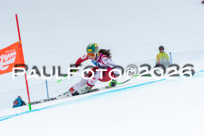 NC DH Training Damen + Herren Axamer Lizum 24.03.2026