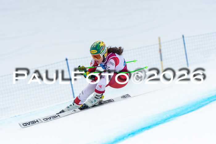 NC DH Training Damen + Herren Axamer Lizum 24.03.2026