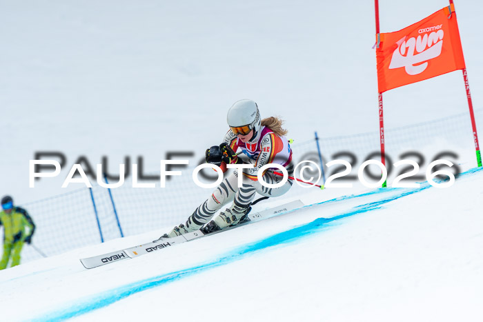 NC DH Training Damen + Herren Axamer Lizum 24.03.2026