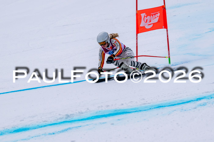 NC DH Training Damen + Herren Axamer Lizum 24.03.2026