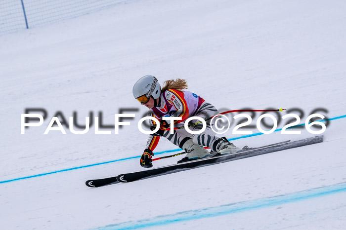 NC DH Training Damen + Herren Axamer Lizum 24.03.2026