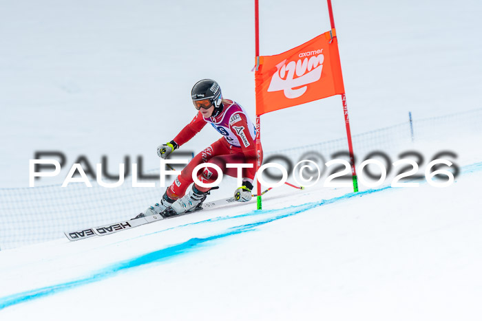 NC DH Training Damen + Herren Axamer Lizum 24.03.2026