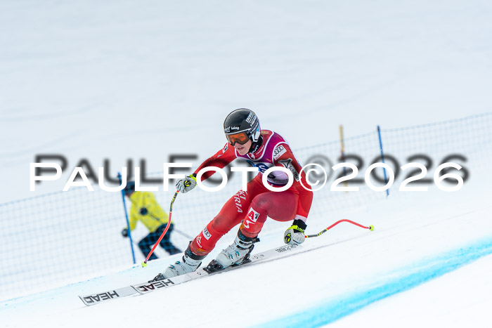 NC DH Training Damen + Herren Axamer Lizum 24.03.2026