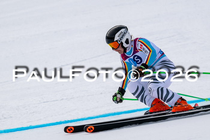 NC DH Training Damen + Herren Axamer Lizum 24.03.2026