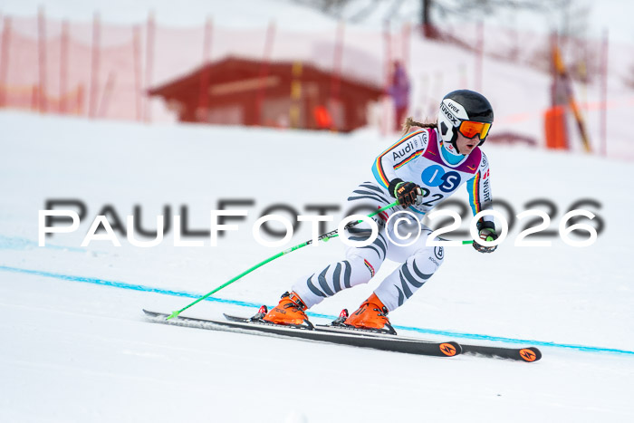 NC DH Training Damen + Herren Axamer Lizum 24.03.2026