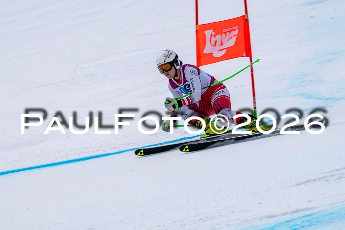 NC DH Training Damen + Herren Axamer Lizum 24.03.2026