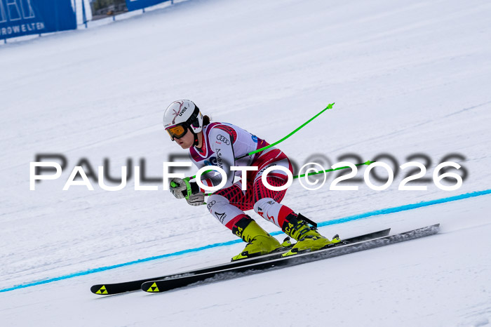 NC DH Training Damen + Herren Axamer Lizum 24.03.2026