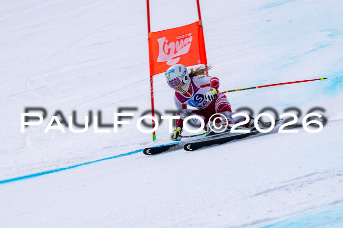 NC DH Training Damen + Herren Axamer Lizum 24.03.2026