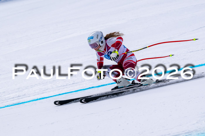 NC DH Training Damen + Herren Axamer Lizum 24.03.2026