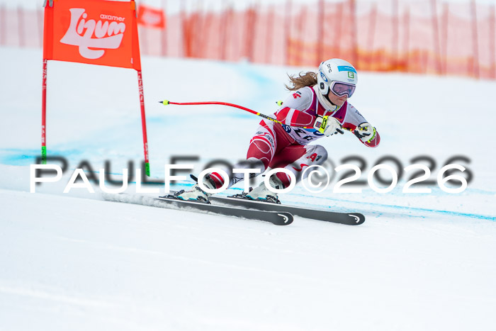 NC DH Training Damen + Herren Axamer Lizum 24.03.2026