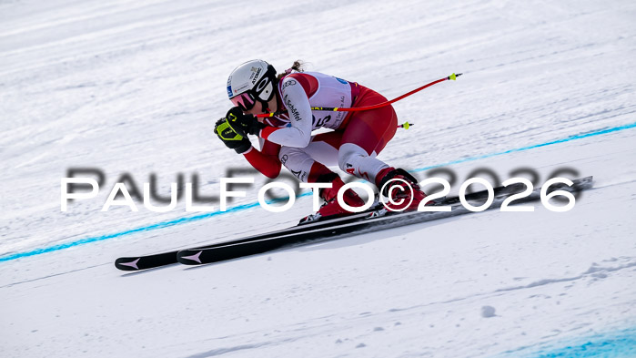 NC DH Training Damen + Herren Axamer Lizum 24.03.2026