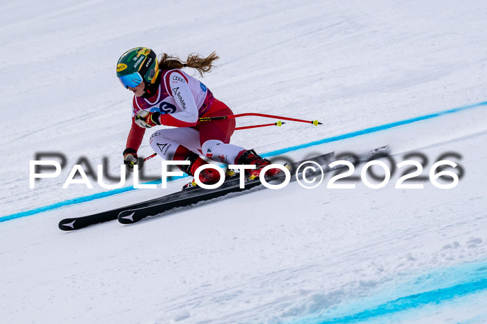 NC DH Training Damen + Herren Axamer Lizum 24.03.2026