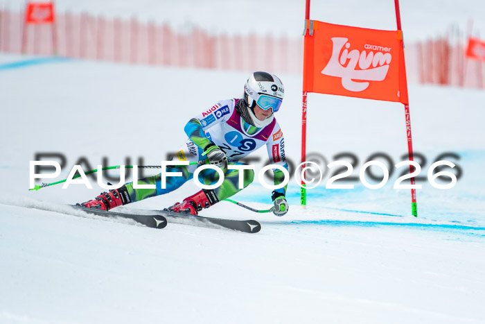 NC DH Training Damen + Herren Axamer Lizum 24.03.2026