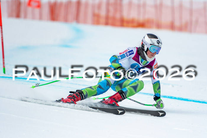 NC DH Training Damen + Herren Axamer Lizum 24.03.2026