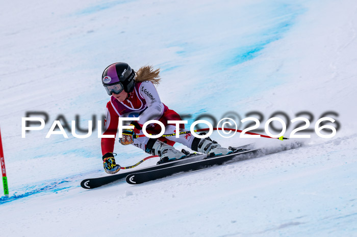 NC DH Training Damen + Herren Axamer Lizum 24.03.2026