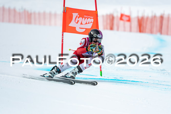 NC DH Training Damen + Herren Axamer Lizum 24.03.2026