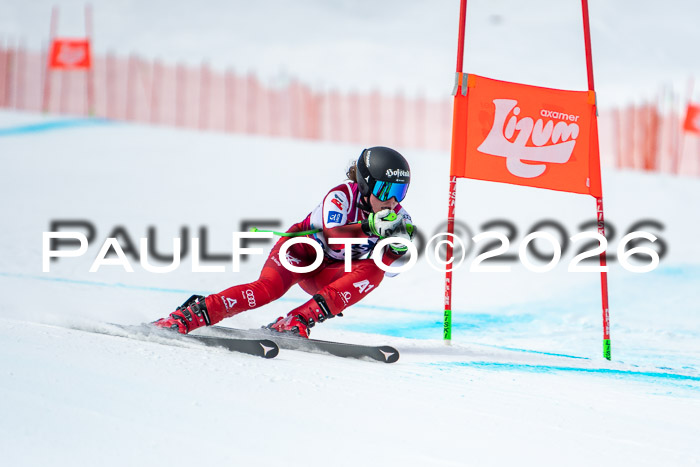 NC DH Training Damen + Herren Axamer Lizum 24.03.2026