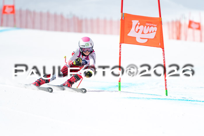 NC DH Training Damen + Herren Axamer Lizum 24.03.2026