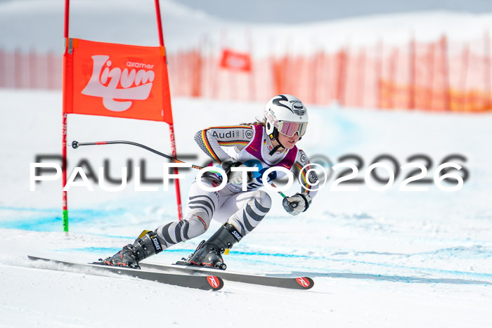 NC DH Training Damen + Herren Axamer Lizum 24.03.2026