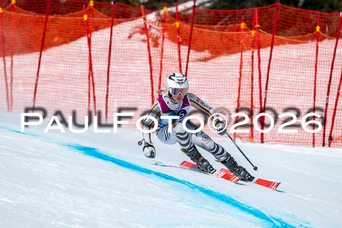 NC DH Training Damen + Herren Axamer Lizum 24.03.2026