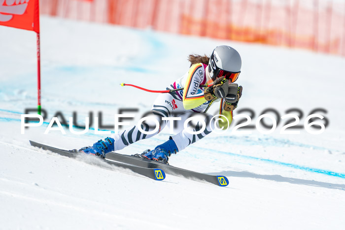 NC DH Training Damen + Herren Axamer Lizum 24.03.2026