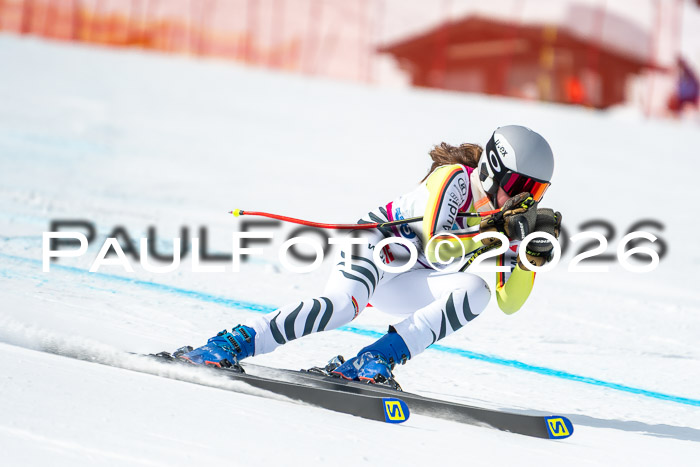 NC DH Training Damen + Herren Axamer Lizum 24.03.2026