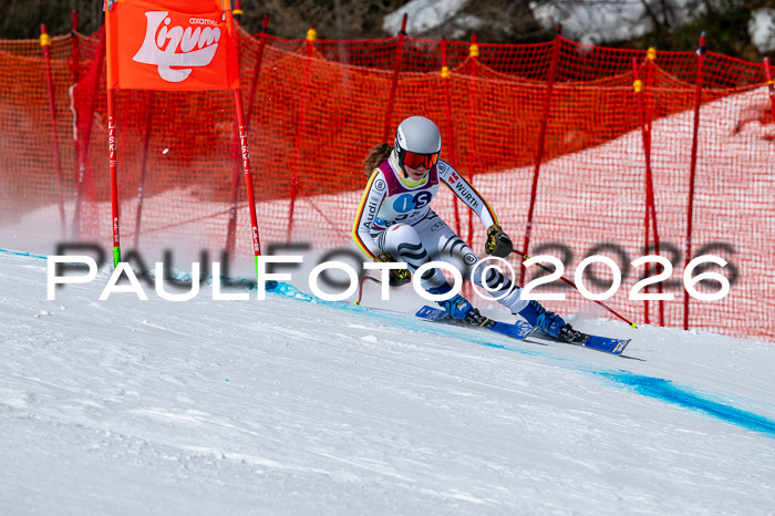 NC DH Training Damen + Herren Axamer Lizum 24.03.2026