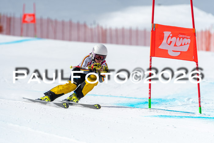 NC DH Training Damen + Herren Axamer Lizum 24.03.2026