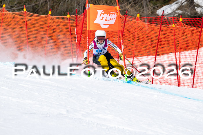 NC DH Training Damen + Herren Axamer Lizum 24.03.2026