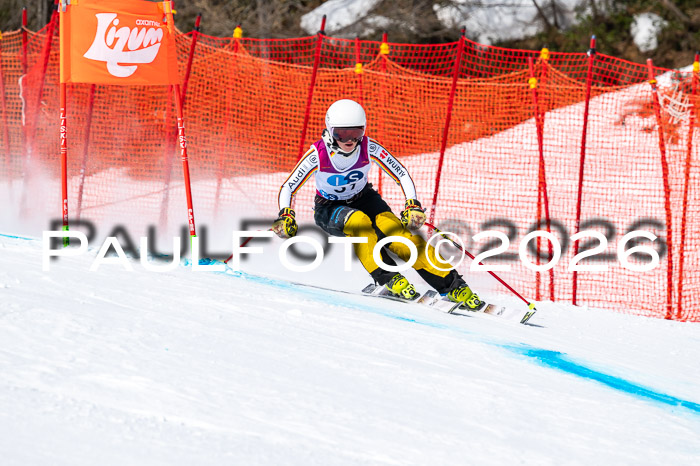 NC DH Training Damen + Herren Axamer Lizum 24.03.2026