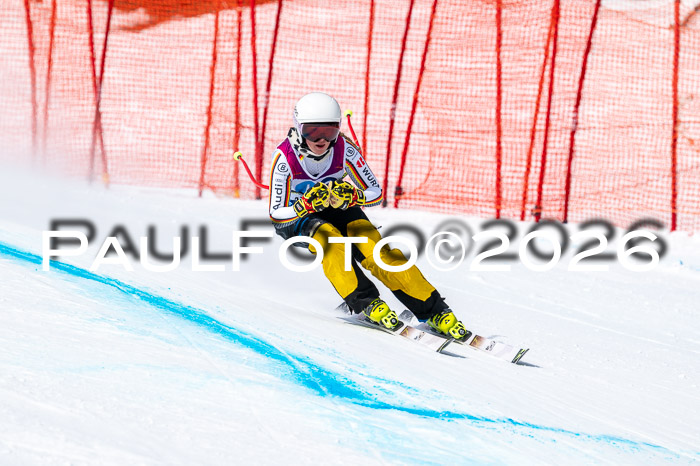 NC DH Training Damen + Herren Axamer Lizum 24.03.2026