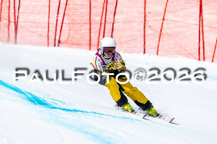 NC DH Training Damen + Herren Axamer Lizum 24.03.2026