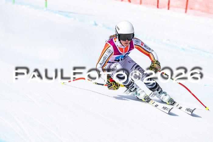 NC DH Training Damen + Herren Axamer Lizum 24.03.2026