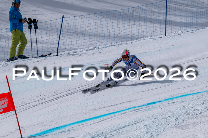 NC DH Training Damen + Herren Axamer Lizum 24.03.2026